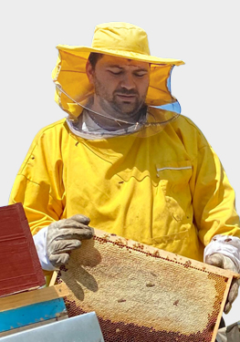 Миљан Живић