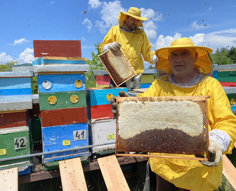 Пчелињак Живић 030