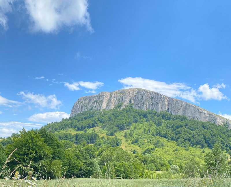 Пчелињак Живић Источна Србија